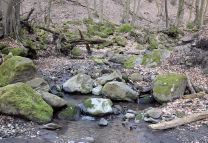 Igazi, vadregényes, szezon-nyitó túra