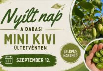 Kivi vagy a kivire? - Nyílt nap a dabasi mini kivi ültetvényen