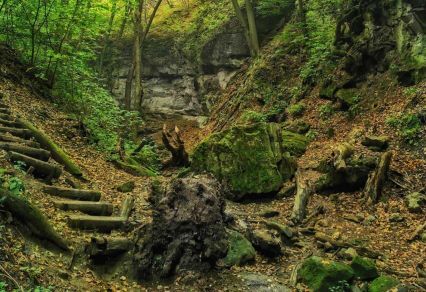 Túra: Holdvilág-árok - Lajos-forrás - Kő-hegy