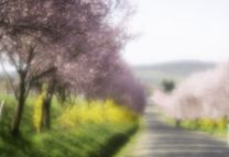 Nógrádi kulturális kirándulás - Bánk, Berkenye és Nógrád