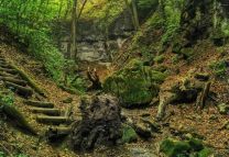 Túra: Holdvilág-árok - Lajos-forrás - Kő-hegy