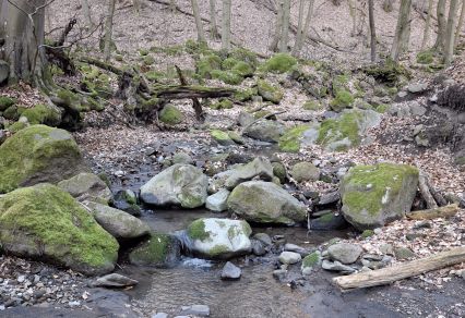 Igazi, vadregényes, szezon-nyitó túra