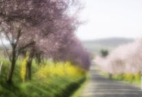 Nógrádi kulturális kirándulás - Bánk, Berkenye és Nógrád